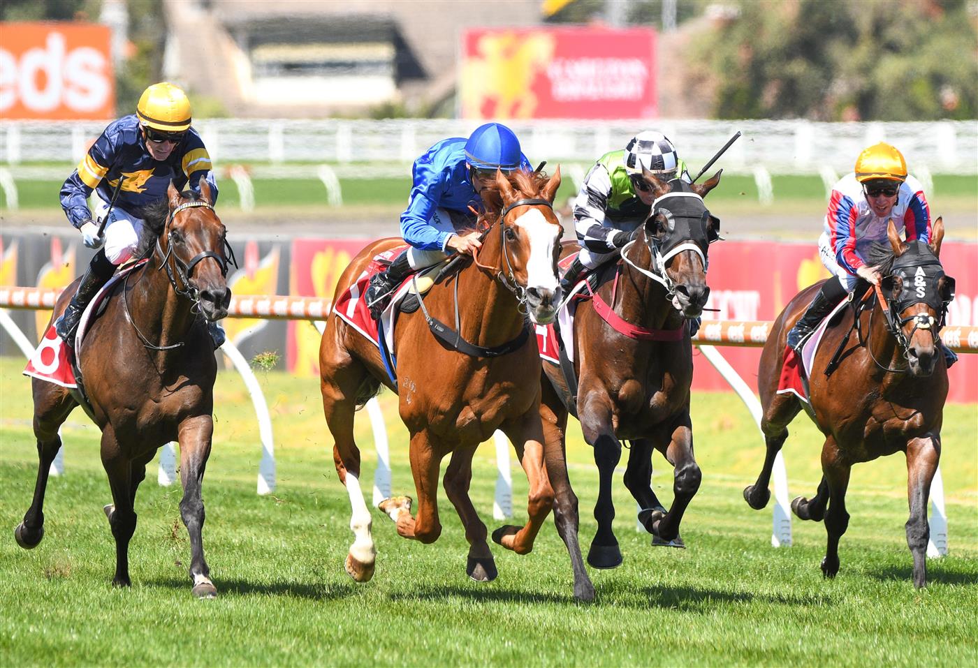 MELBOURNE, AUSTRALIA - FEBRUARY 26: Damien Oliver riding Cascadian winning Race 5, the Carlton Draught Peter Young Stakes,  during Melbourne Racing at Caulfield Racecourse on February 26, 2022 in Melbourne, Australia. (Photo by Vince Caligiuri/Getty Images)