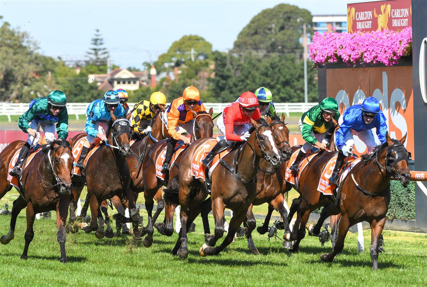 MELBOURNE, AUSTRALIA - FEBRUARY 26: Mark Zahra riding Daumier (blue) winning Race 7, the Neds Blue Diamond Stakes,  during Melbourne Racing at Caulfield Racecourse on February 26, 2022 in Melbourne, Australia. (Photo by Vince Caligiuri/Getty Images)