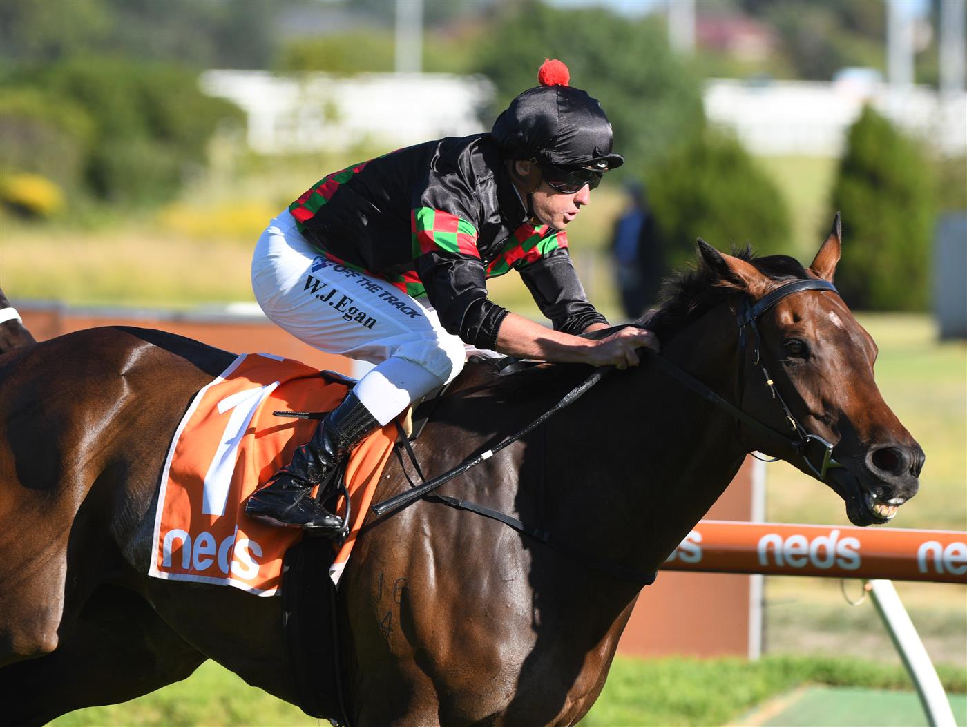 MELBOURNE, AUSTRALIA - FEBRUARY 26: Billy Egan riding Defibrillate winning Race 9, Le Neds Mornington Cup Prelude,  during Melbourne Racing at Caulfield Racecourse on February 26, 2022 in Melbourne, Australia. (Photo by Vince Caligiuri/Getty Images)