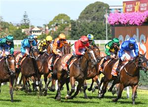 Caulfield Highlights - February 26