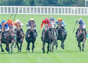 Randwick Highlights - February 26