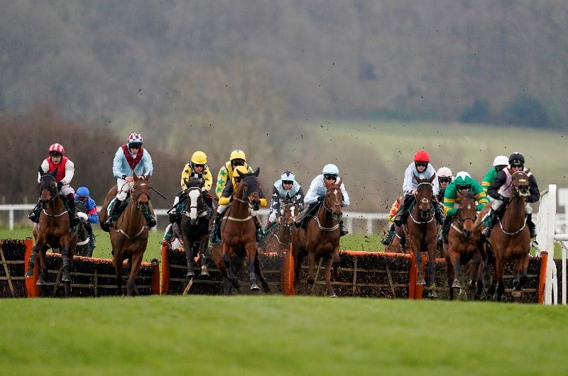 mares' novices hurdle cheltenham