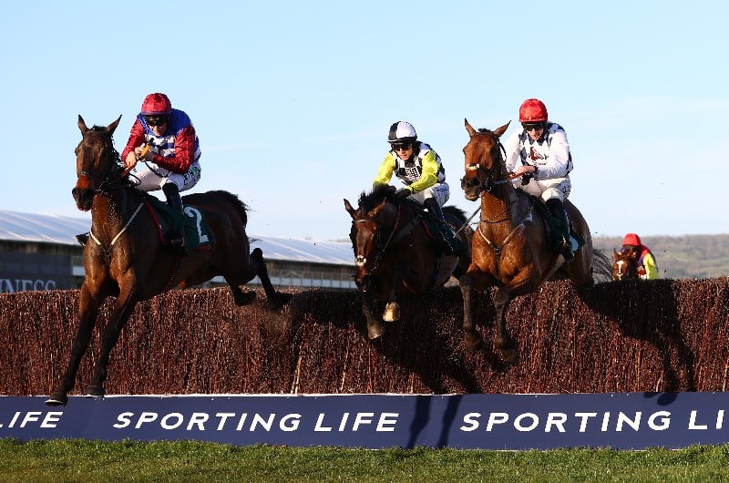 National Hunt Chase Live Stream - Watch the Cheltenham race online