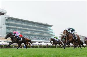 Australian Guineas - outsiders