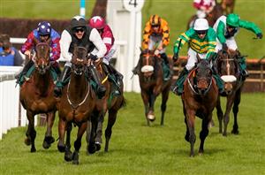 Stayers' Hurdle Live Stream - Watch this Grade One live from Cheltenham