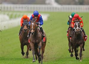 Canterbury Stakes Barrier Draw & Final Field