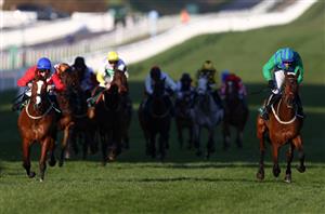 Champion Bumper Live Stream - Watch this Grade One live from Cheltenham