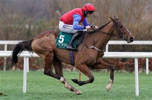2022 Champion Bumper Odds - Facile Vega heads American Mike in Festival betting