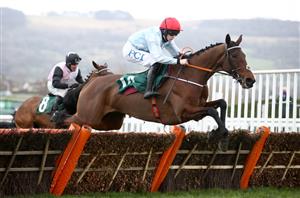 2022 Mares' Hurdle Odds - Telmesomethinggirl leads the way in tight betting heat