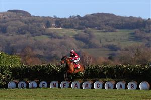 2022 Cross Country Chase Tips - Can Tiger Roll sign off with a record win?