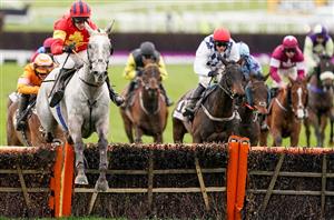 Albert Bartlett Novices' Hurdle Live Stream - Watch this Grade One live from Cheltenham