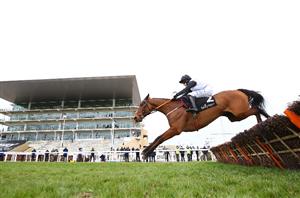 Ballymore Novices' Hurdle Live Stream - Watch this Grade One live from Cheltenham
