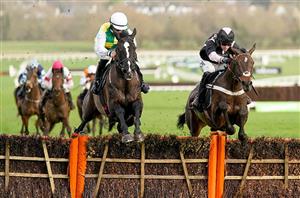 2022 Albert Bartlett Novices' Odds - Minella Crooner and Hillcrest lead Festival betting