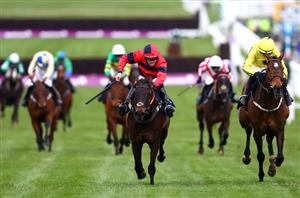 hunters chase cheltenham