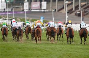 Mares' Novices' Hurdle Live Stream - Watch this Grade Two live from Cheltenham