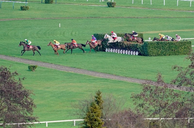 cross country chase