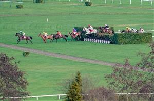 Cross Country Chase Live Stream - Watch the Cheltenham race online