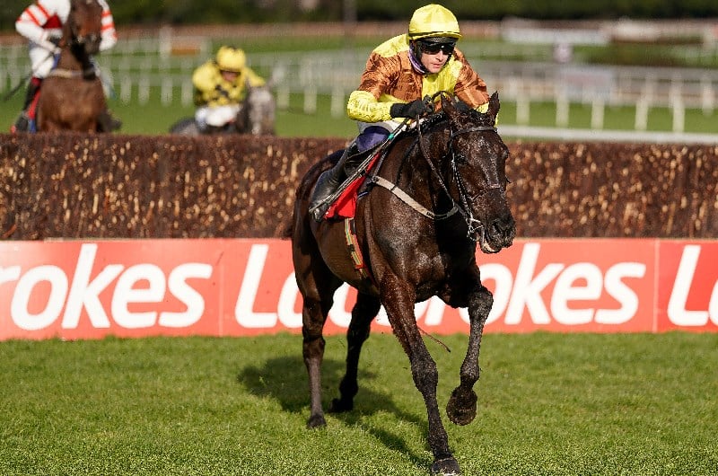 galopin des champs