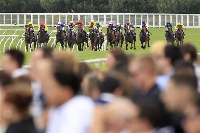 SYDNEY, AUSTRALIA - MARCH 05: The crowd look on as Tyler Schiller on Cap Estel (red cap, yellow silks) comes up to win race 1 the Midway Handicap during Sydney Racing at Royal Randwick Racecourse on March 05, 2022 in Sydney, Australia. (Photo by Mark Evans/Getty Images)