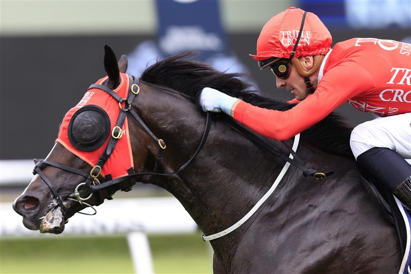 SYDNEY, AUSTRALIA - MARCH 05: Sam Clipperton on Mazu wins race 6 the Tokyo City Keiba Fireball Stakes during Sydney Racing at Royal Randwick Racecourse on March 05, 2022 in Sydney, Australia. (Photo by Mark Evans/Getty Images)