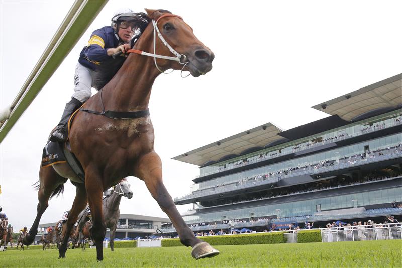 SYDNEY, AUSTRALIA - MARCH 05: William Pike on Zeyrek wins race 4 the Cellarbrations Randwick City Stakes during Sydney Racing at Royal Randwick Racecourse on March 05, 2022 in Sydney, Australia. (Photo by Mark Evans/Getty Images)