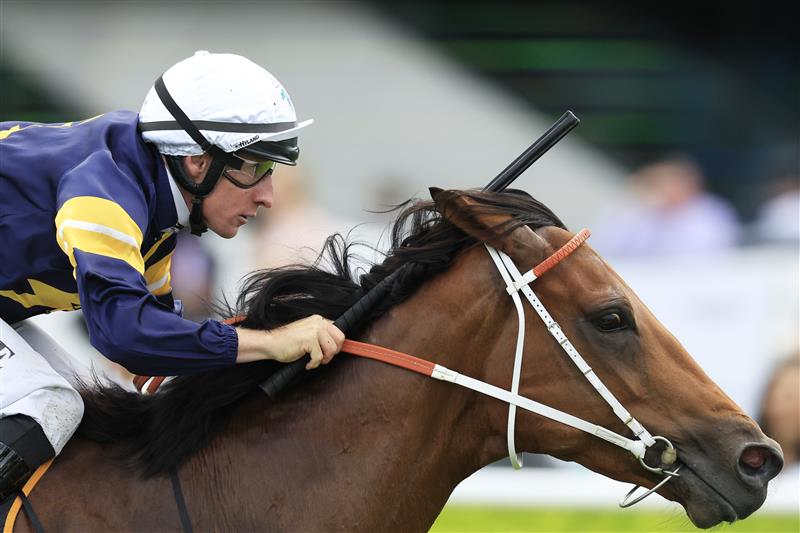SYDNEY, AUSTRALIA - MARCH 05: William Pike on Zeyrek wins race 4 the Cellarbrations Randwick City Stakes during Sydney Racing at Royal Randwick Racecourse on March 05, 2022 in Sydney, Australia. (Photo by Mark Evans/Getty Images)