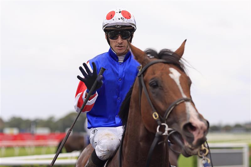 SYDNEY, AUSTRALIA - MARCH 05: Jason Collett on Sejardan returns to scale after winning race 3 the UNSW Todman Stakes during Sydney Racing at Royal Randwick Racecourse on March 05, 2022 in Sydney, Australia. (Photo by Mark Evans/Getty Images)