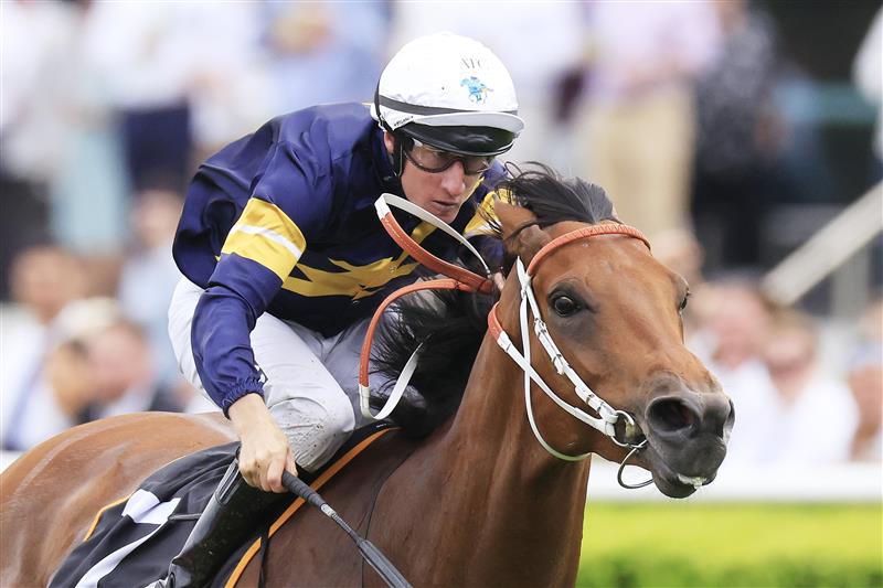 SYDNEY, AUSTRALIA - MARCH 05: William Pike on Zeyrek wins race 4 the Cellarbrations Randwick City Stakes during Sydney Racing at Royal Randwick Racecourse on March 05, 2022 in Sydney, Australia. (Photo by Mark Evans/Getty Images)