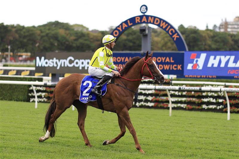 SYDNEY, AUSTRALIA - MARCH 05: Nash Rawiller on Eduardo returns to scale after winning race 5 the Hyland Race Colours Challenge Stakes during Sydney Racing at Royal Randwick Racecourse on March 05, 2022 in Sydney, Australia. (Photo by Mark Evans/Getty Images)