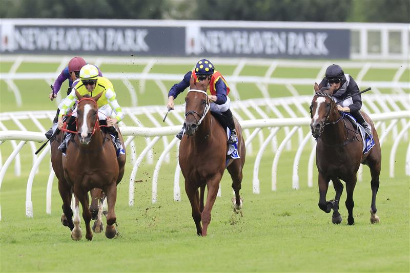 SYDNEY, AUSTRALIA - MARCH 05: Nash Rawiller on Eduardo wins race 5 the Hyland Race Colours Challenge Stakes during Sydney Racing at Royal Randwick Racecourse on March 05, 2022 in Sydney, Australia. (Photo by Mark Evans/Getty Images)