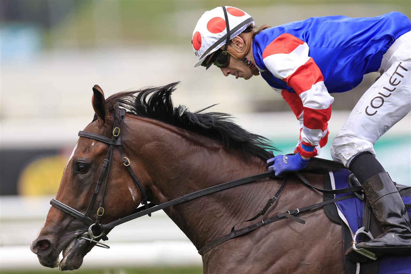 SYDNEY, AUSTRALIA - MARCH 05: Jason Collett on Sejardan wins race 3 the UNSW Todman Stakes during Sydney Racing at Royal Randwick Racecourse on March 05, 2022 in Sydney, Australia. (Photo by Mark Evans/Getty Images)