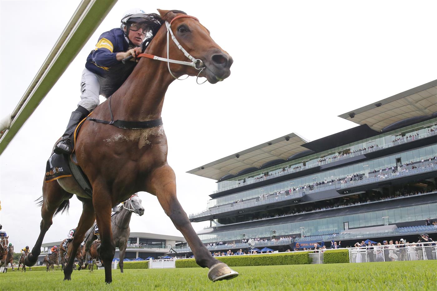 SYDNEY, AUSTRALIA - MARCH 05: William Pike on Zeyrek wins race 4 the Cellarbrations Randwick City Stakes during Sydney Racing at Royal Randwick Racecourse on March 05, 2022 in Sydney, Australia. (Photo by Mark Evans/Getty Images)