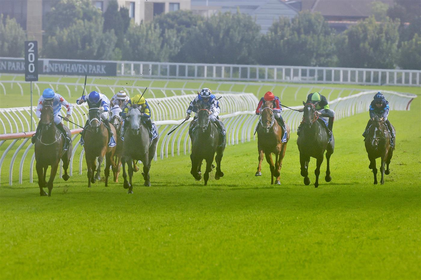 SYDNEY, AUSTRALIA - MARCH 05: Hugh Bowman on Forbidden Love wins race 7 the Furphy Canterbury Stakes during Sydney Racing at Royal Randwick Racecourse on March 05, 2022 in Sydney, Australia. (Photo by Mark Evans/Getty Images)