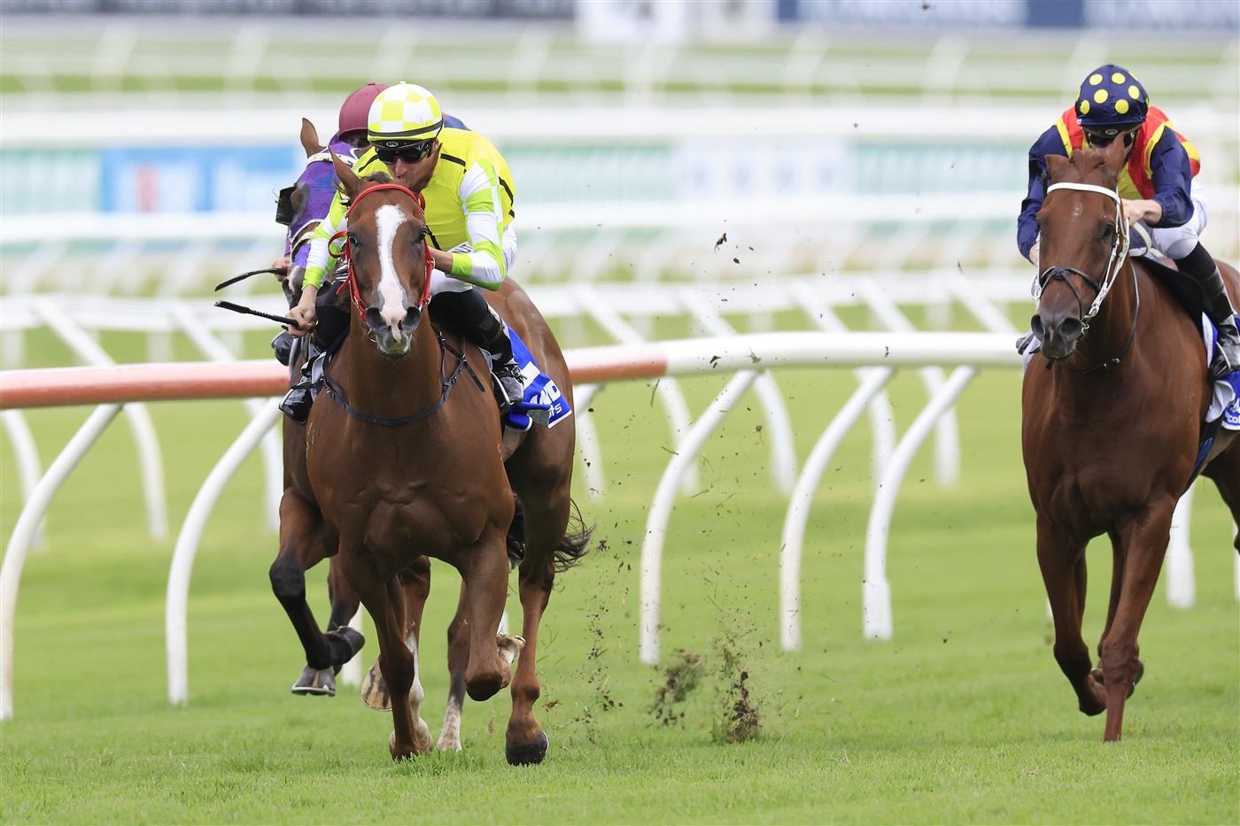 SYDNEY, AUSTRALIA - MARCH 05: Nash Rawiller on Eduardo wins race 5 the Hyland Race Colours Challenge Stakes during Sydney Racing at Royal Randwick Racecourse on March 05, 2022 in Sydney, Australia. (Photo by Mark Evans/Getty Images)