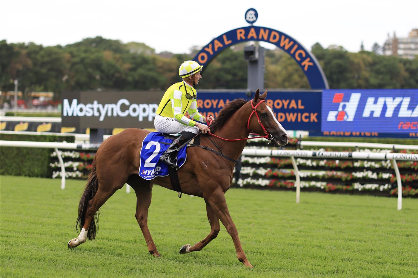 SYDNEY, AUSTRALIA - MARCH 05: Nash Rawiller on Eduardo returns to scale after winning race 5 the Hyland Race Colours Challenge Stakes during Sydney Racing at Royal Randwick Racecourse on March 05, 2022 in Sydney, Australia. (Photo by Mark Evans/Getty Images)