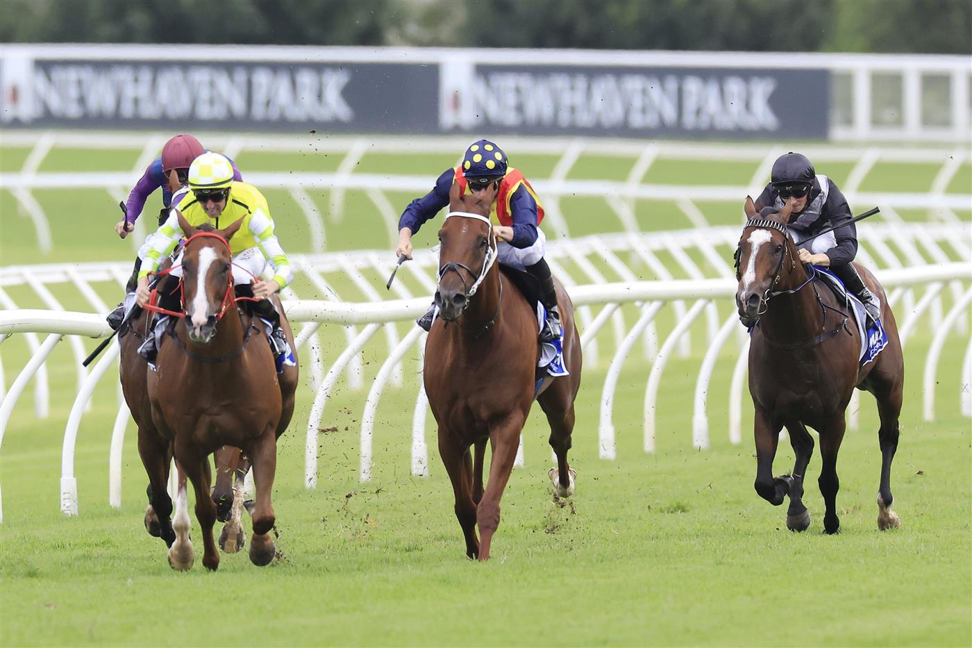 SYDNEY, AUSTRALIA - MARCH 05: Nash Rawiller on Eduardo wins race 5 the Hyland Race Colours Challenge Stakes during Sydney Racing at Royal Randwick Racecourse on March 05, 2022 in Sydney, Australia. (Photo by Mark Evans/Getty Images)