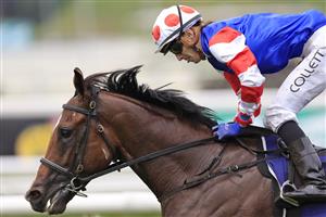 SYDNEY, AUSTRALIA - MARCH 05: Jason Collett on Sejardan wins race 3 the UNSW Todman Stakes during Sydney Racing at Royal Randwick Racecourse on March 05, 2022 in Sydney, Australia. (Photo by Mark Evans/Getty Images)