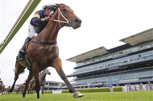 SYDNEY, AUSTRALIA - MARCH 05: William Pike on Zeyrek wins race 4 the Cellarbrations Randwick City Stakes during Sydney Racing at Royal Randwick Racecourse on March 05, 2022 in Sydney, Australia. (Photo by Mark Evans/Getty Images)