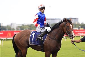 SYDNEY, AUSTRALIA - MARCH 05: Jason Collett on Sejardan returns to scale after winning race 3 the UNSW Todman Stakes during Sydney Racing at Royal Randwick Racecourse on March 05, 2022 in Sydney, Australia. (Photo by Mark Evans/Getty Images)