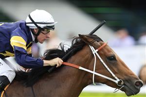 SYDNEY, AUSTRALIA - MARCH 05: William Pike on Zeyrek wins race 4 the Cellarbrations Randwick City Stakes during Sydney Racing at Royal Randwick Racecourse on March 05, 2022 in Sydney, Australia. (Photo by Mark Evans/Getty Images)