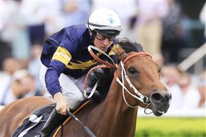 SYDNEY, AUSTRALIA - MARCH 05: William Pike on Zeyrek wins race 4 the Cellarbrations Randwick City Stakes during Sydney Racing at Royal Randwick Racecourse on March 05, 2022 in Sydney, Australia. (Photo by Mark Evans/Getty Images)