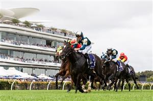 Flemington Highlights - March 5