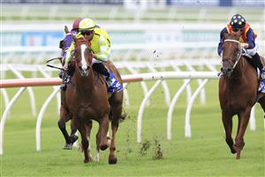 SYDNEY, AUSTRALIA - MARCH 05: Nash Rawiller on Eduardo wins race 5 the Hyland Race Colours Challenge Stakes during Sydney Racing at Royal Randwick Racecourse on March 05, 2022 in Sydney, Australia. (Photo by Mark Evans/Getty Images)