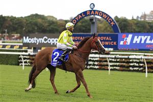 SYDNEY, AUSTRALIA - MARCH 05: Nash Rawiller on Eduardo returns to scale after winning race 5 the Hyland Race Colours Challenge Stakes during Sydney Racing at Royal Randwick Racecourse on March 05, 2022 in Sydney, Australia. (Photo by Mark Evans/Getty Images)
