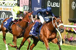 Newmarket Handicap Betting Odds - Home Affairs dominates the market