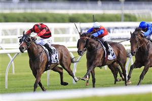 SYDNEY, AUSTRALIA - MARCH 05: Tim Clark on Converge wins race 8 the Mostyn Copper Randwick Guineas during Sydney Racing at Royal Randwick Racecourse on March 05, 2022 in Sydney, Australia. (Photo by Mark Evans/Getty Images)