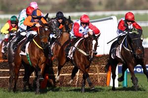 2022 Boodles Handicap Hurdle Odds - Gaelic Warrior firm favourite for juvenile handicap