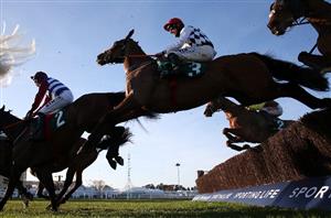 2022 National Hunt Chase Odds - Stattler and Run Wild Fred locked in battle for favouritism
