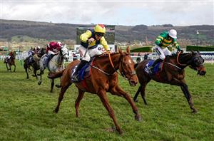 2022 Pertemps Final Tips - Two against the field in St Patrick's day handicap