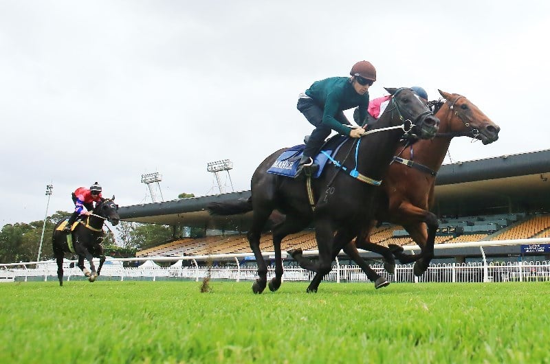 Canterbury Racing Tips, Best Bets & Odds Today's Betting Tips for March 10